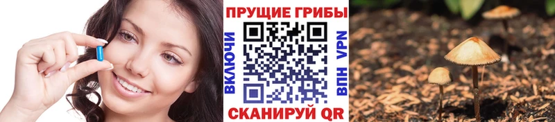 Псилоцибиновые грибы ЛСД  Шуя 