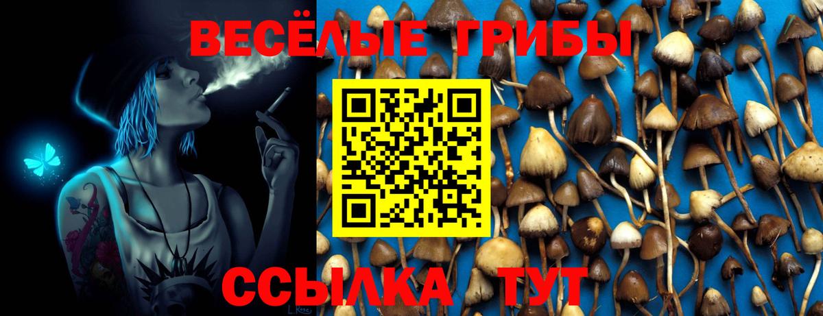 Галлюциногенные грибы ЛСД  Вход с VPN  Шуя 